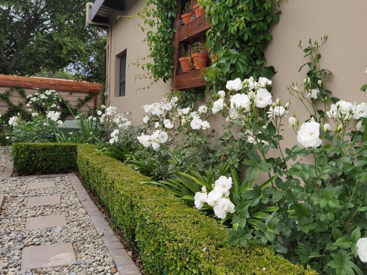 Bella Rosa Bed and Breakfast Potchefstroom Εξωτερικό φωτογραφία