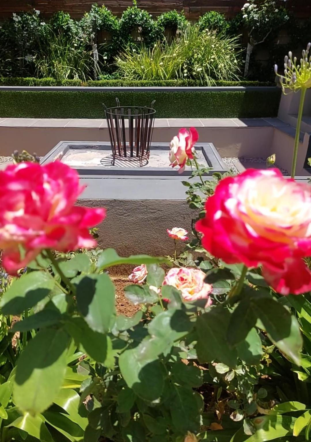 Bella Rosa Bed and Breakfast Potchefstroom Εξωτερικό φωτογραφία